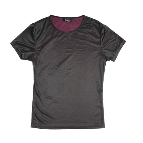5351 Pour Les Hommes Sheer Short Sleeve Top