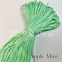 #303  Apple Mint パラコード 100m 4mm 一部光沢