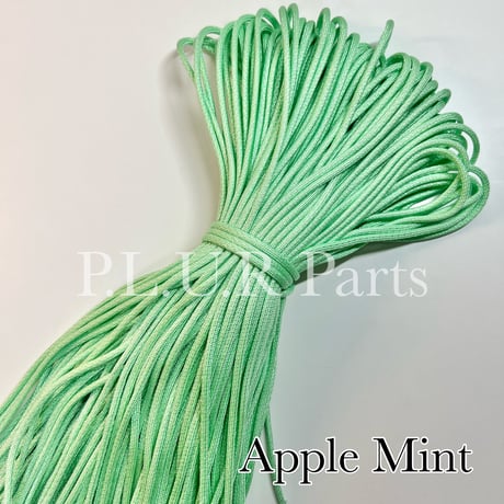 #303  Apple Mint パラコード 100m 4mm 一部光沢