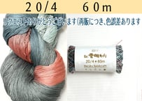 雪明かり【s310 】 　20/4   60m