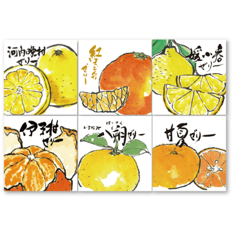 柑橘物語　ゼリー６種６個セット　ＢＨAＹＫＲ