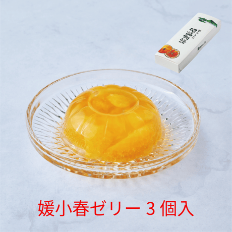 媛小春ゼリー 3個セット
