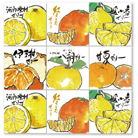 柑橘物語　ゼリー６種９個セット　ＨＡＹーＢＫＲ２