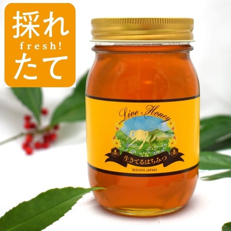 ビーハイブジャパン