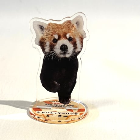 世界レッサーパンダの日 アクリルスタンド