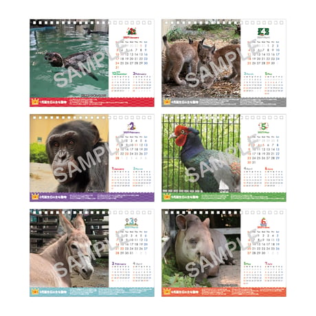 2027年動物園卓上カレンダー