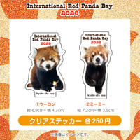 世界レッサーパンダの日 クリアステッカー