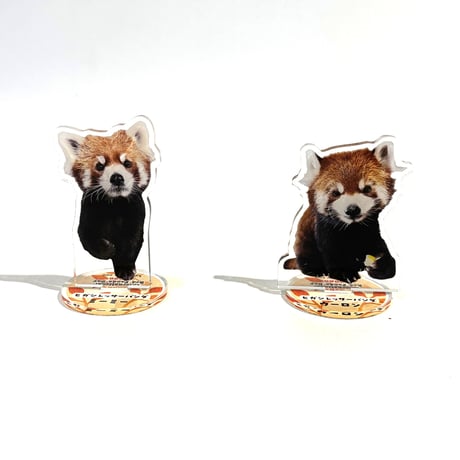世界レッサーパンダの日 アクリルスタンド