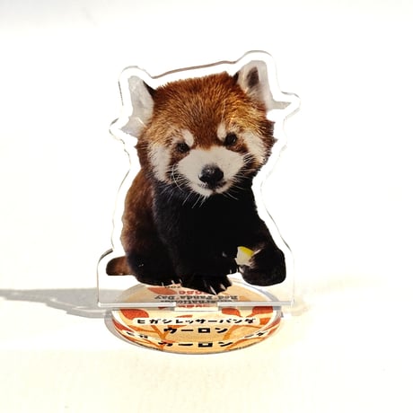 世界レッサーパンダの日 アクリルスタンド