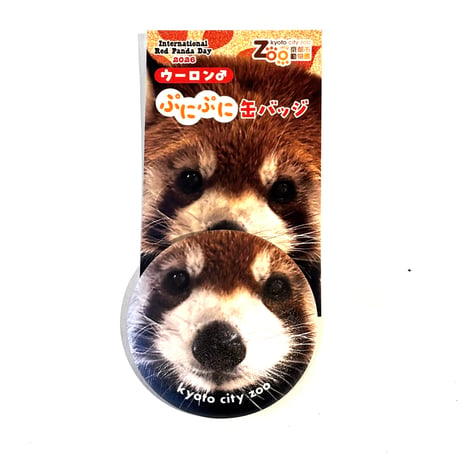 世界レッサーパンダの日ぷにぷに缶バッジ