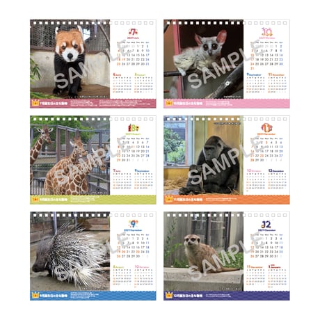 2027年動物園卓上カレンダー