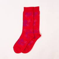 ZOOS Original Socks- Patterned/ Red