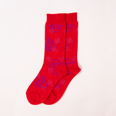 ZOOS Original Socks- Patterned/ Red