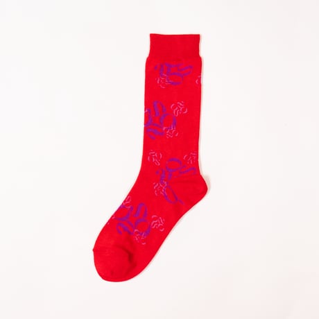 ZOOS Original Socks- Patterned/ Red