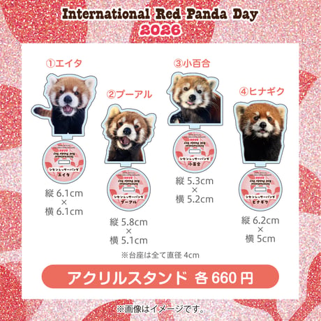 国際レッサーパンダデー2026　円山　ぷにぷに缶バッジ４種※受注生産