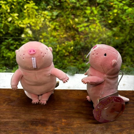 もちハダカデバネズミ　mini