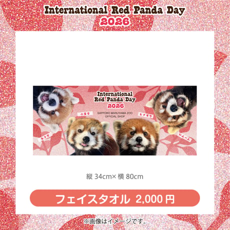 国際レッサーパンダデー2026　円山フェイスタオル※受注生産