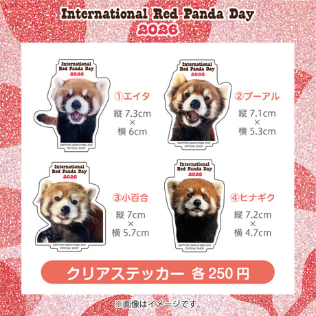 国際レッサーパンダデー2026　円山　クリアステッカー４種※受注生産