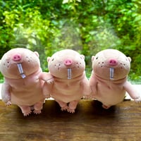 もちハダカデバネズミ　mini