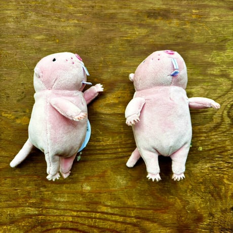 もちハダカデバネズミ　mini