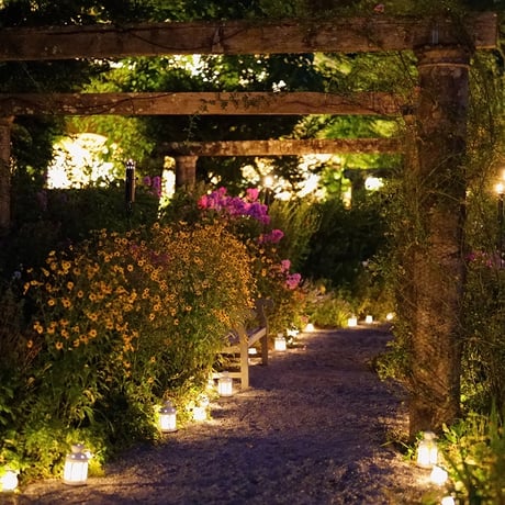《8/21 Fri.》 キャンドルライトナイト ～ディナー＆コンサート～　参加チケット 7,900円