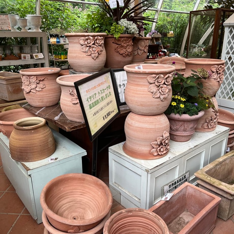 6a6466a926a25c2c4e557c51