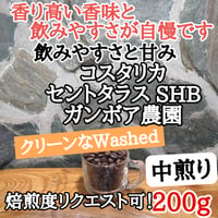 コスタリカ セントタラス SHB ガンボア農園 200g