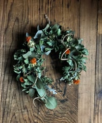 ユーカリと紅花の変形リース