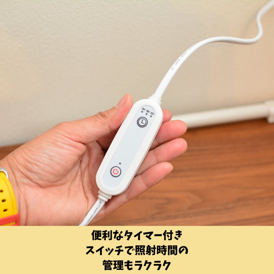 67ac359ac774eb002bd8290e