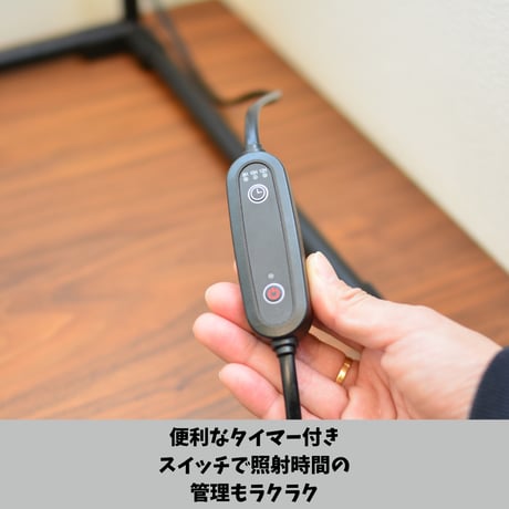 プラエリア スタンドソケット 1台 Black Model