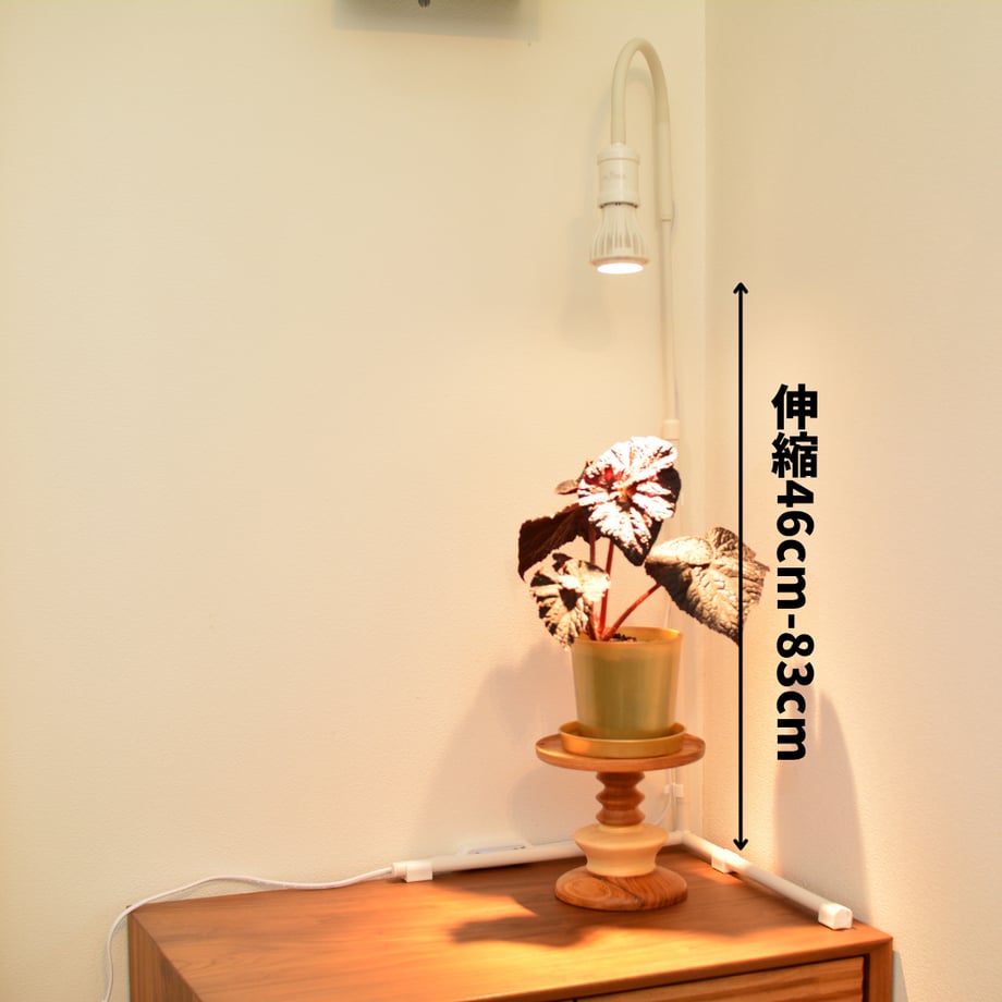 67ac359ac774eb002bd8290e