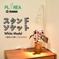 プラエリア スタンドソケット 1台 White Model