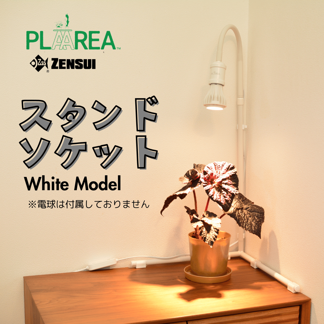 プラエリア スタンドソケット 1台 White Model | 花森家 オンラインストア
