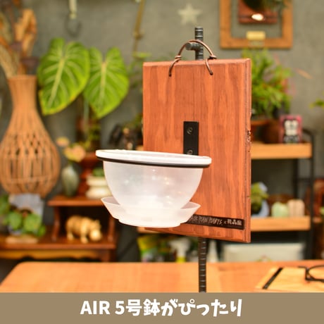 DECOITA リング付｜植物着生専用オリジナル板