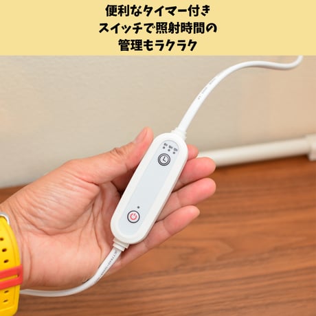 プラエリア スタンドソケット 1台 White Model