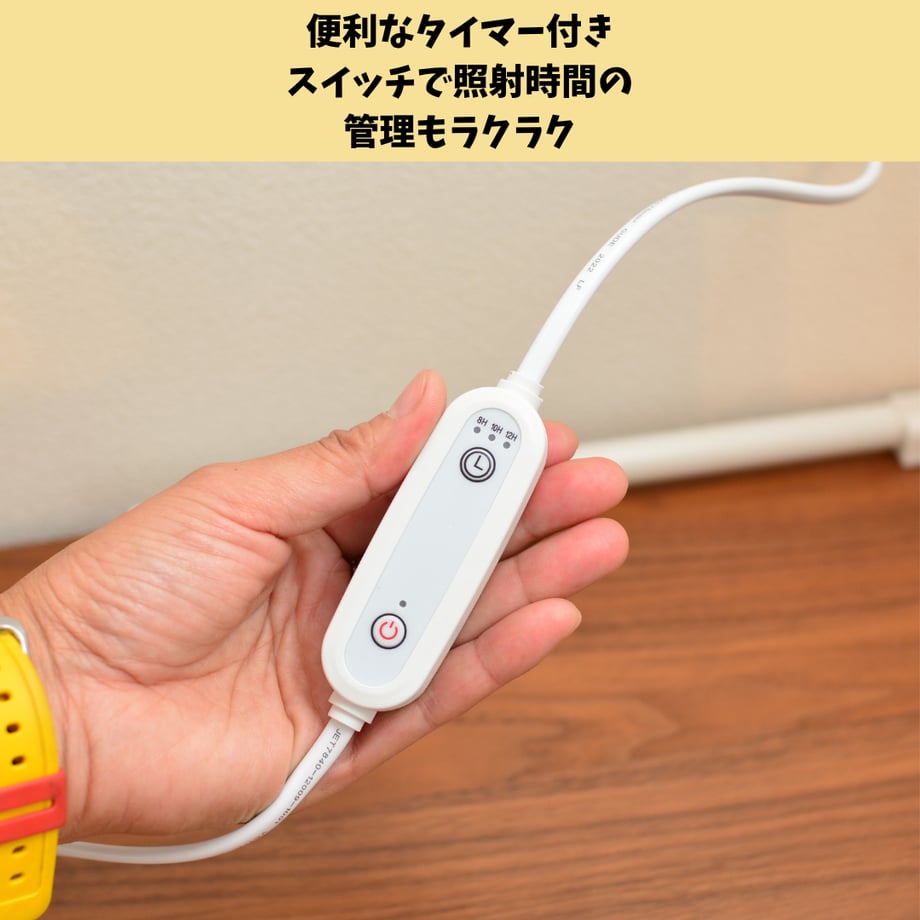 67ac359ac774eb002bd8290e