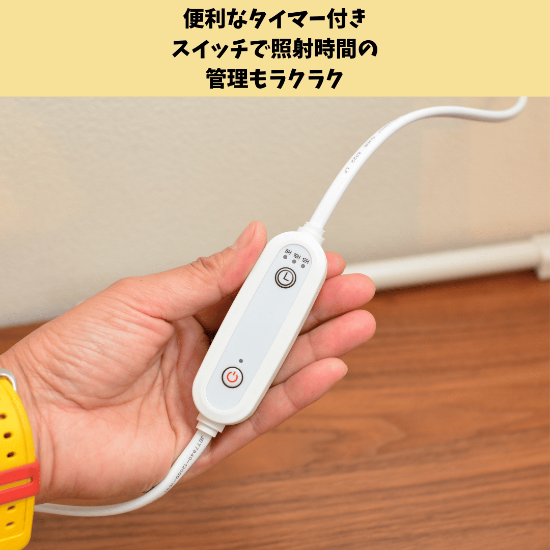 プラエリア スタンドソケット 1台 White Model | 花森家 オンラインストア