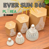 【照明】EVER SUN 365  本体カラー White Model
