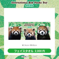 レッサーパンダデイ’26フェイスタオル