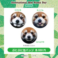 レッサーパンダデイ’26ぷにぷに缶バッジ