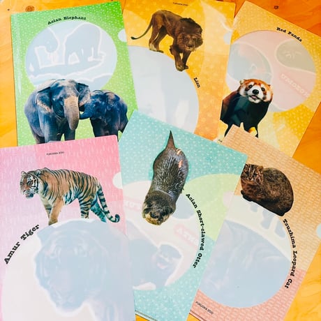 NEW!!【全6種】福岡市動物園　オリジナルクリアファイル