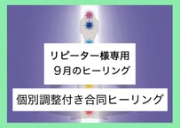 【個別調整付き合同ヒーリング】】🖤不要なエネルギーを跳ね返す強いエネルギー体を作る🪨【遠隔クリスタルヒーリング】
