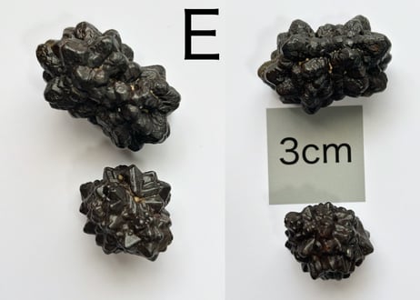 【白い砂漠に落とされた漆黒の預言石】クリスタル2個セット（プロフェシーストーン）