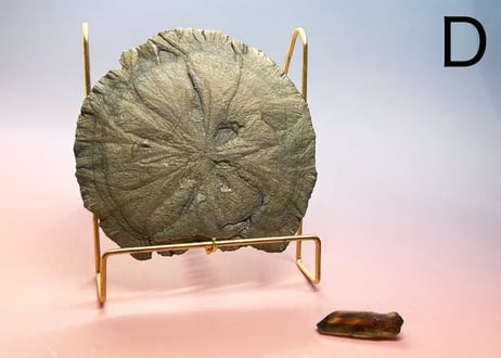 追加販売【招富太陽鉄盤と黄金の従者】クリスタルセット（パイライトサン・コンゴ産シトリン）