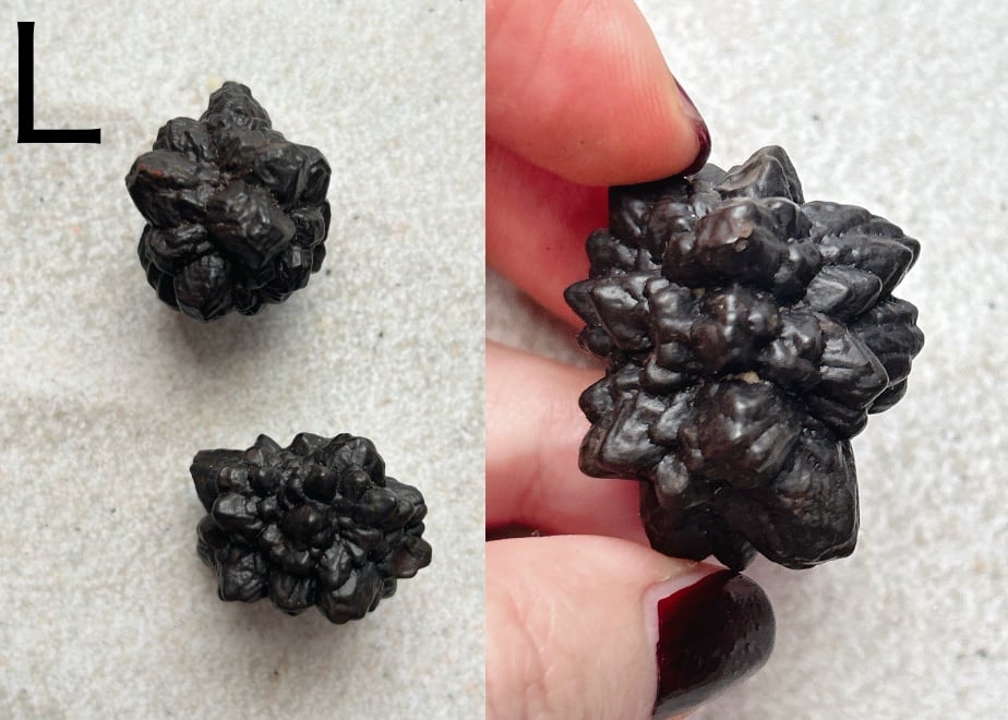 6a9811400959dbb1e26f4bbe