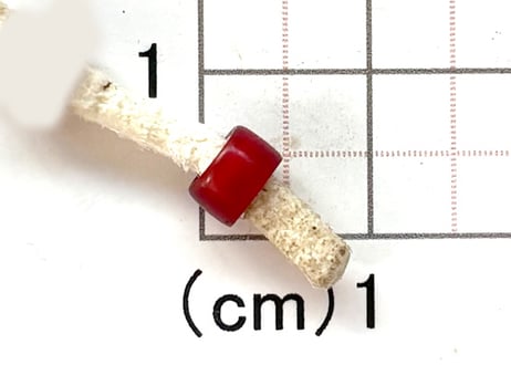 濃赤ホワイトハーツ　6mm　NO.1620　現品
