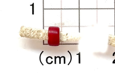 濃赤ホワイトハーツ　5.5mm　NO.1621　現品