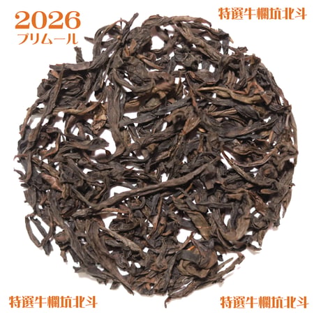 高級正岩茶 2026年 プリムール新茶セット