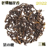 鳳凰単叢 老欉柚花香三株 2022
