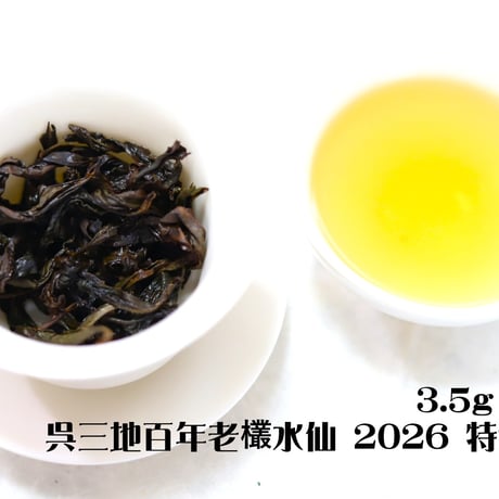 呉三地百年老欉水仙 2026 特選二株 (臨時特別予約割引販売)